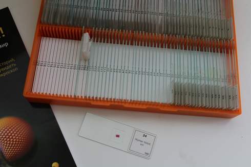 Набор микропрепаратов