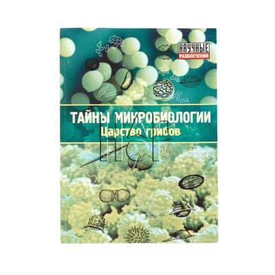 Практикум "царство грибов"