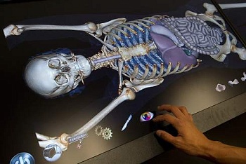 Анатомический стол 